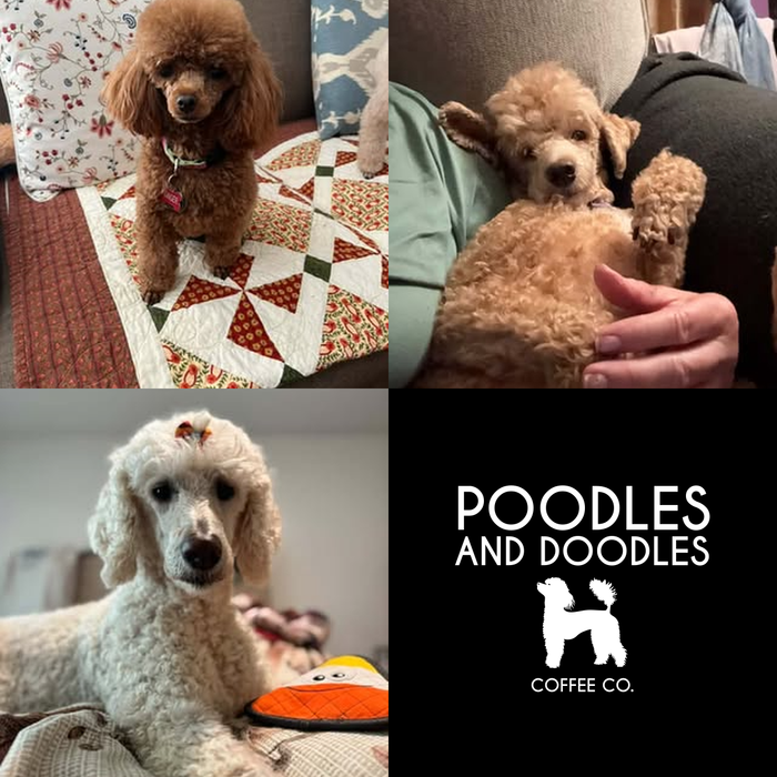 Dogs of the Month — September 2026