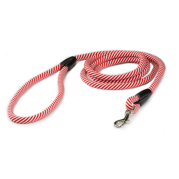 Candy Cane Leash & Collar Set