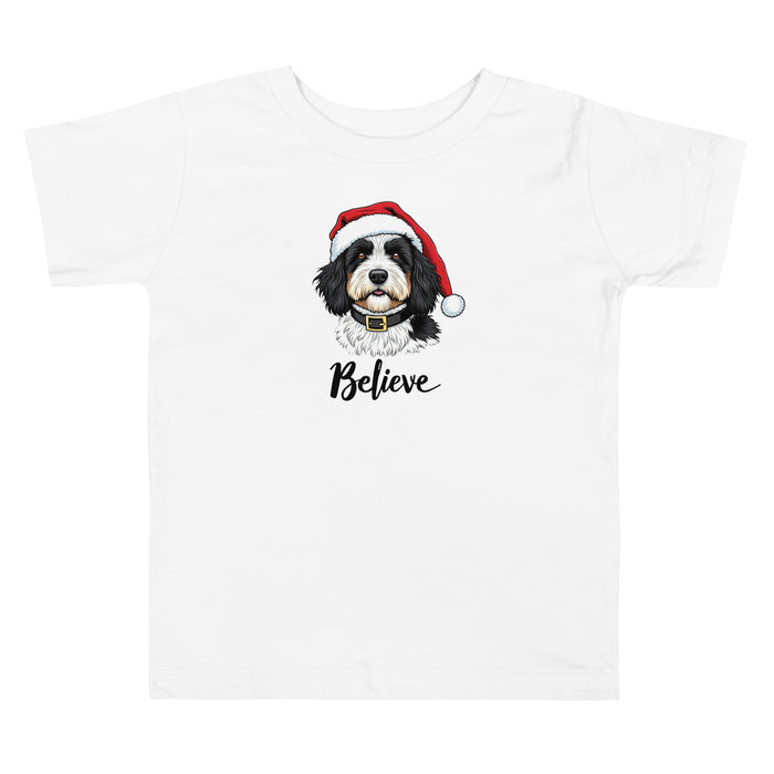 Believe Toddler Tee