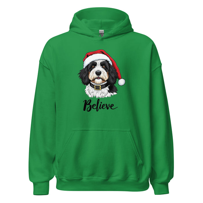 Believe Hoodie