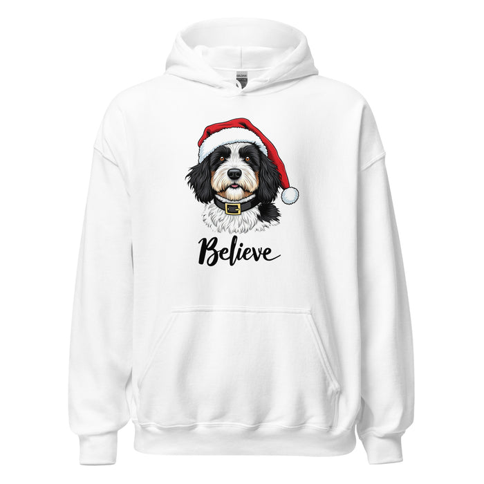 Believe Hoodie