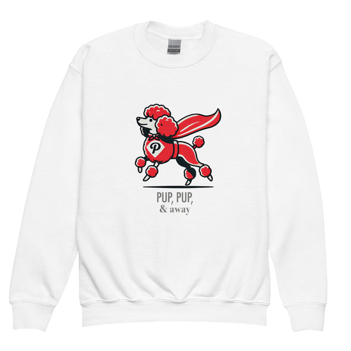 Superhero Youth Sweatshirt